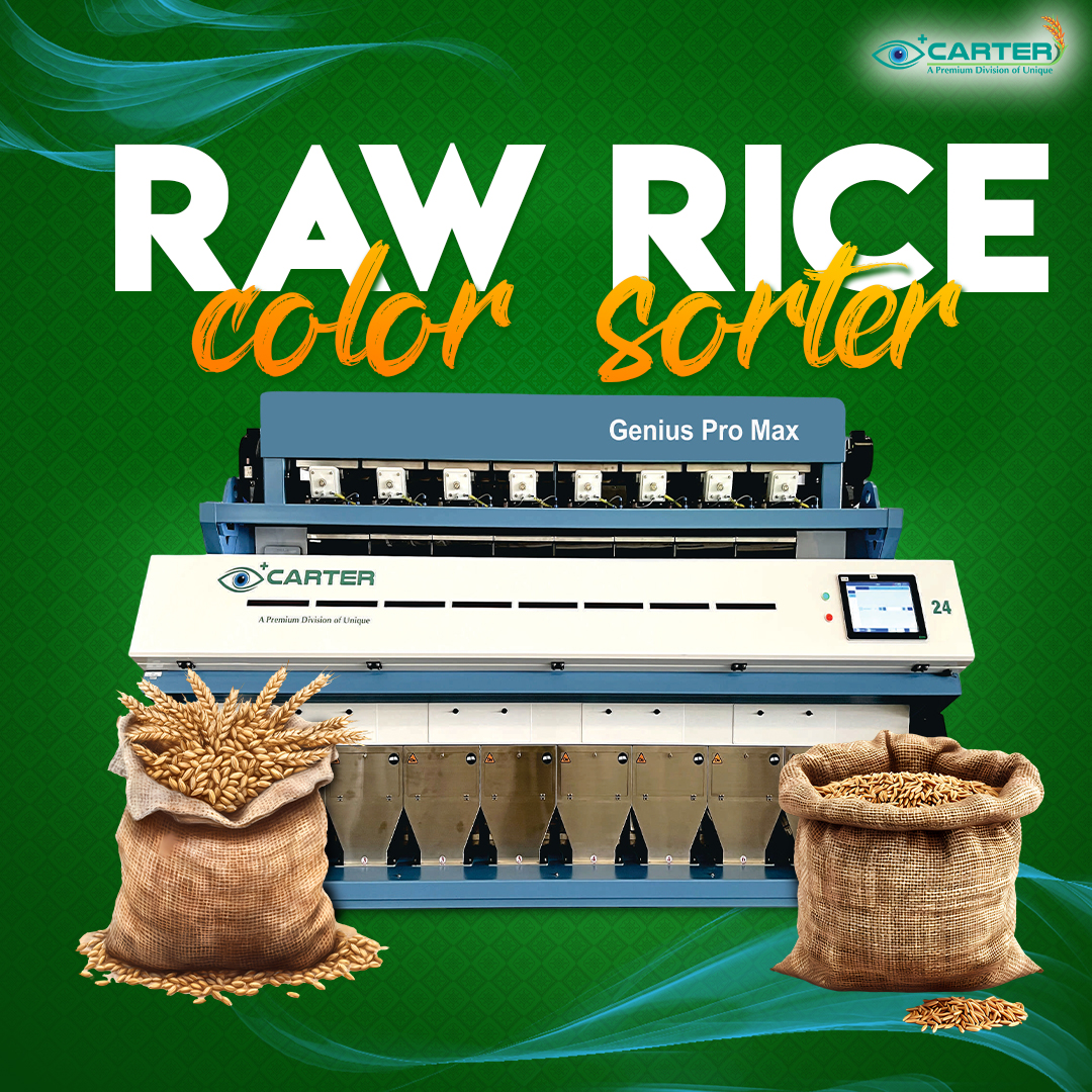 Raw Rice Color Sorter Manufacturers & Suppliers In Haryana | Carter ...