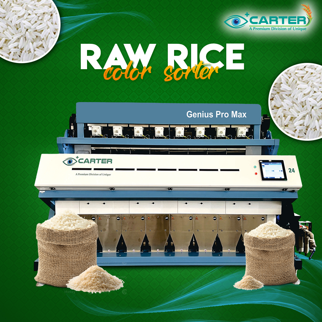 Advanced Plastic Color Sorting & Polymer Sorting Solutions